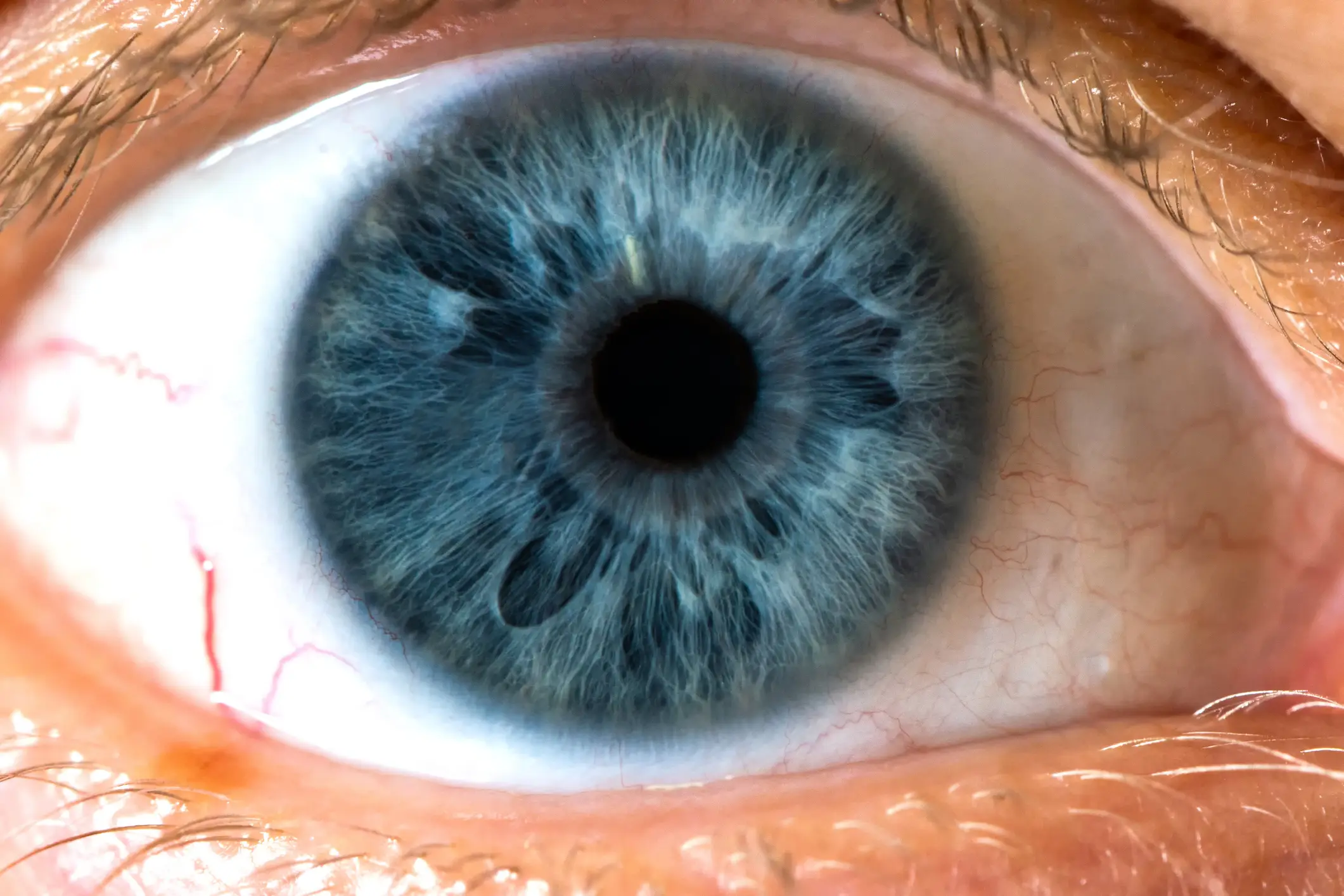 Blue eyes are created when a gene mutation known as HERC2 prevents brown pigment from forming (Getty Stock)