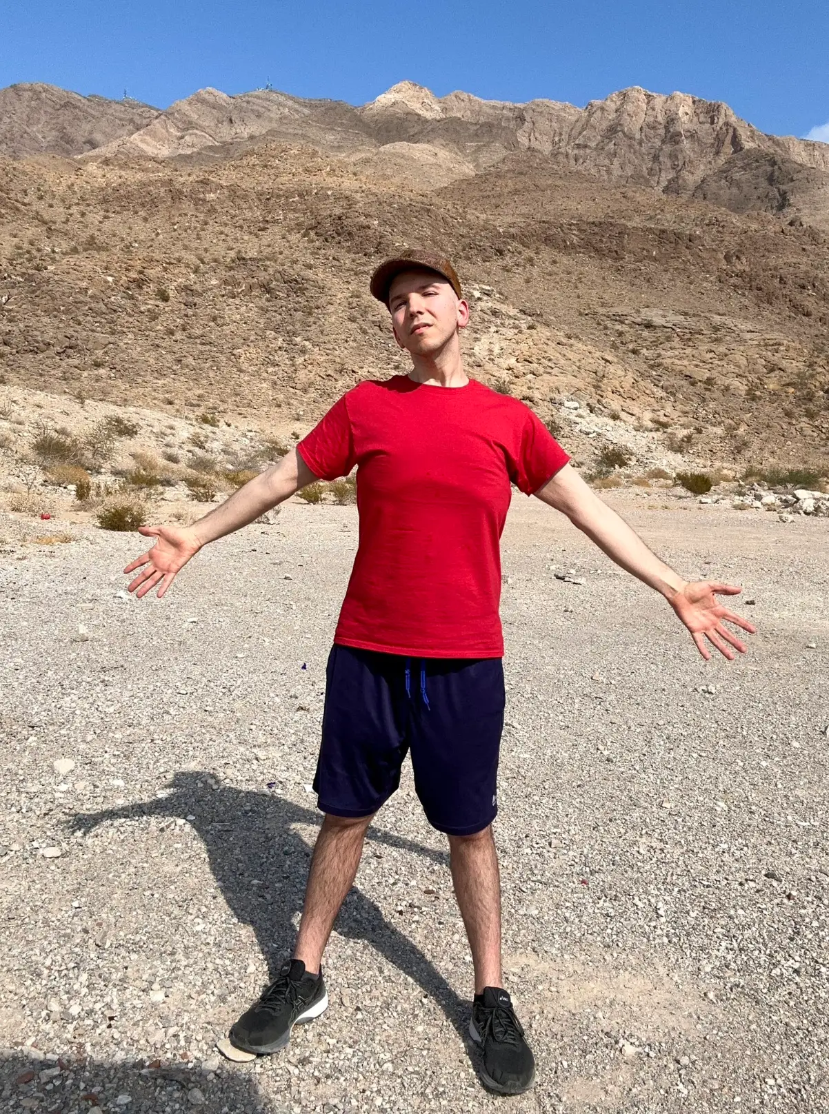 Fans have spotted several hints of Nikocado Avocado's shock transformation (real_nikocado/X)