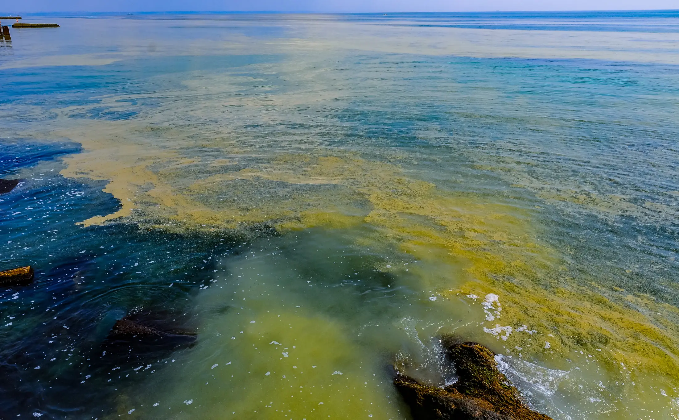 Scientists spotted swirling green and blue plumes spreading through the Mid-Atlantic Bight (Oleg Kovtun/Getty)