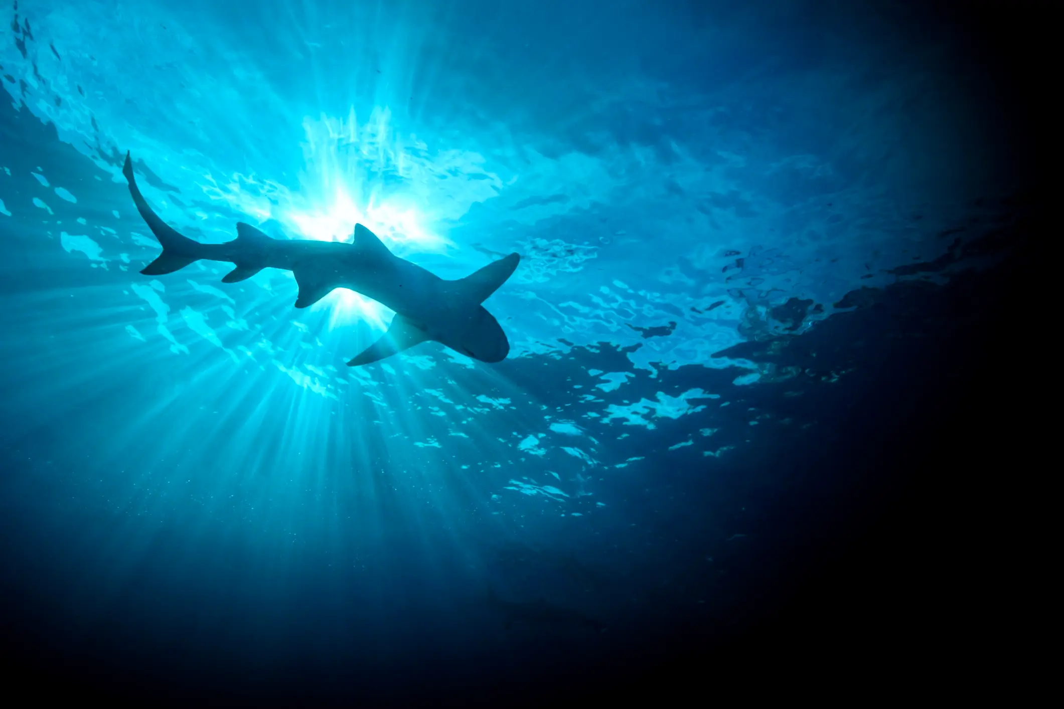 Serge MELESAN / 500px / Getty