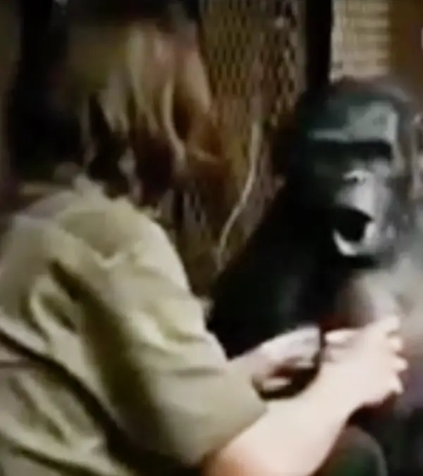 Koba is a villain the Planet of the Apes franchise / sarcastic.meme.page/ Instagram