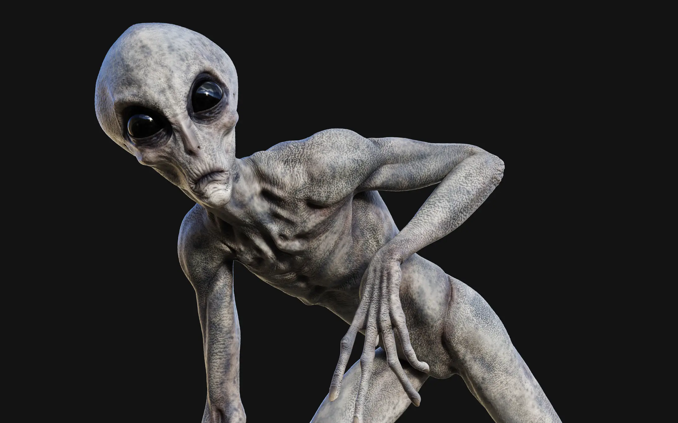 The four alien types are described as ‘Grays, Nordics, Insectoids, and Reptilians’ (mrjo2405/Getty Images)