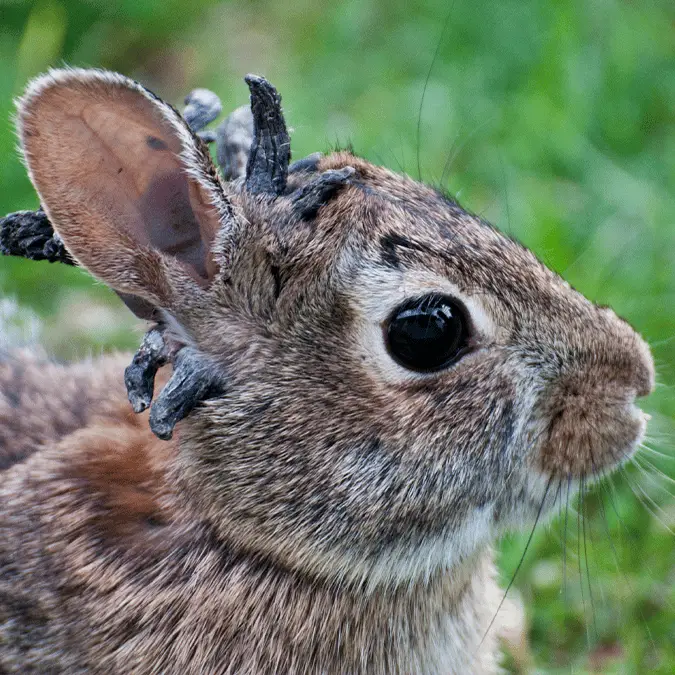Education Images / Contributor / Getty