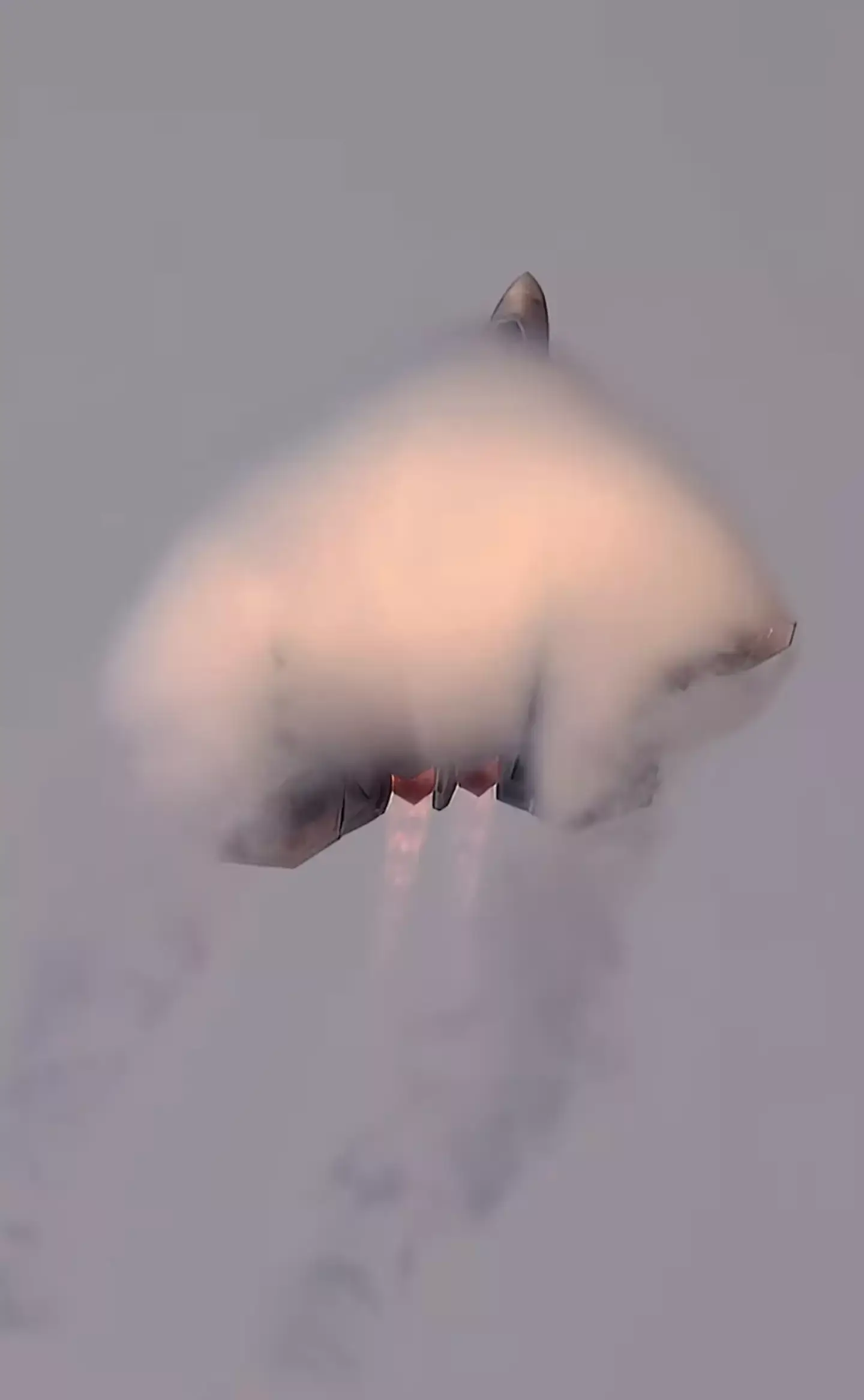 People were left stunned by the clip (Instagram/@markfingar)