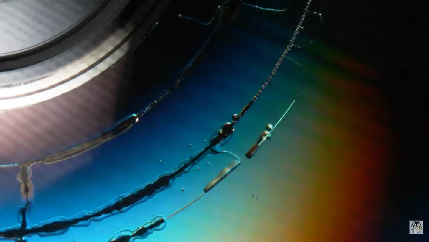 The Slow Mo Guys/ YouTube