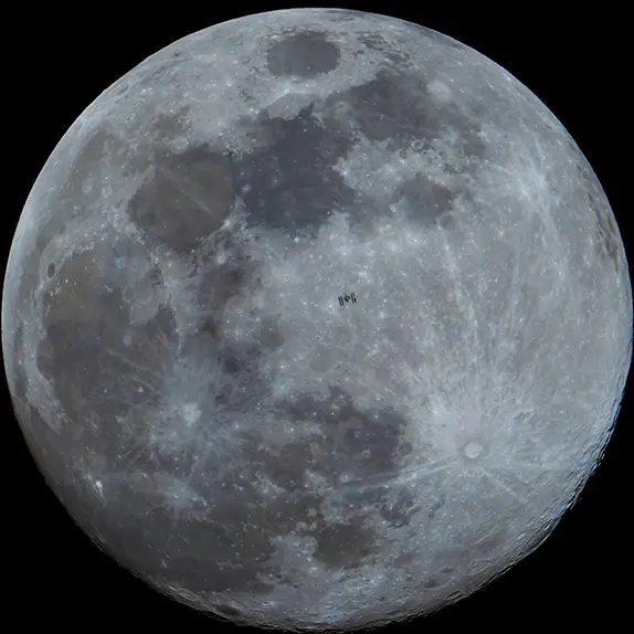 GREGG NEWTON / Contributor / Anadolu / Contributor / Getty