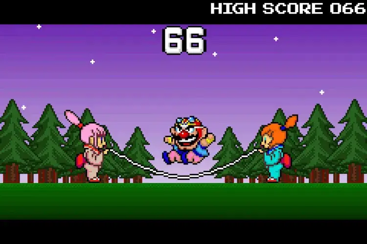 Wario Ware Inc