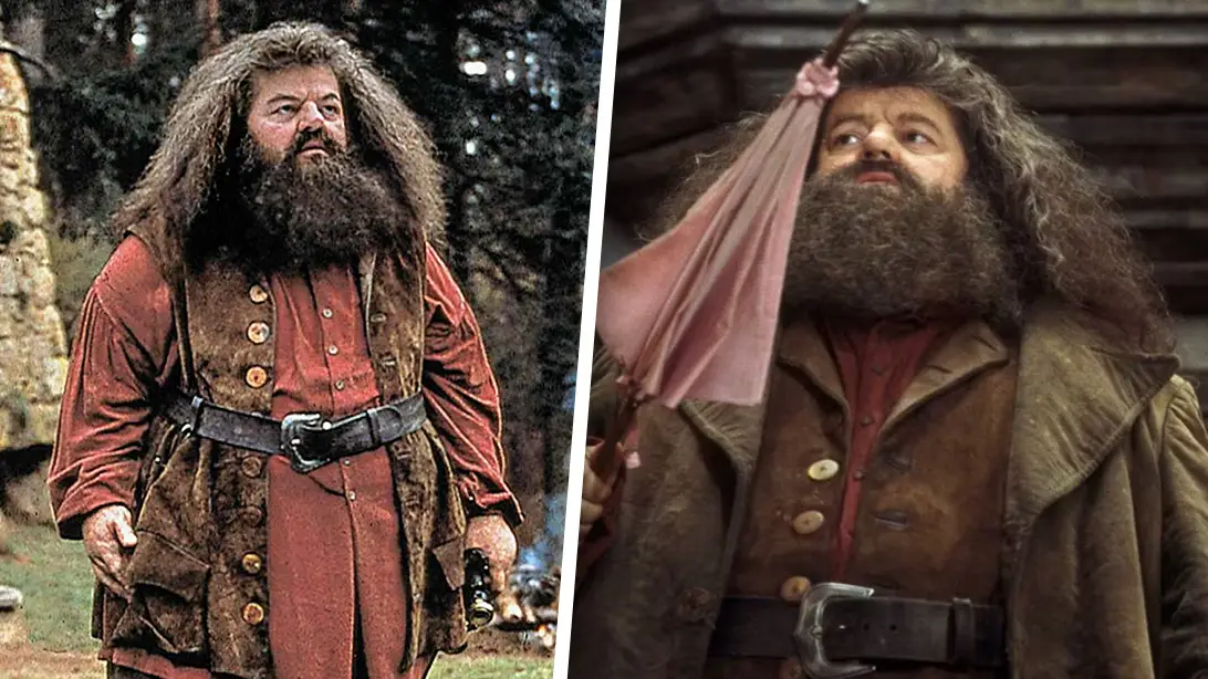 Harry Potter HBO series' Hagrid casting is not who we expected