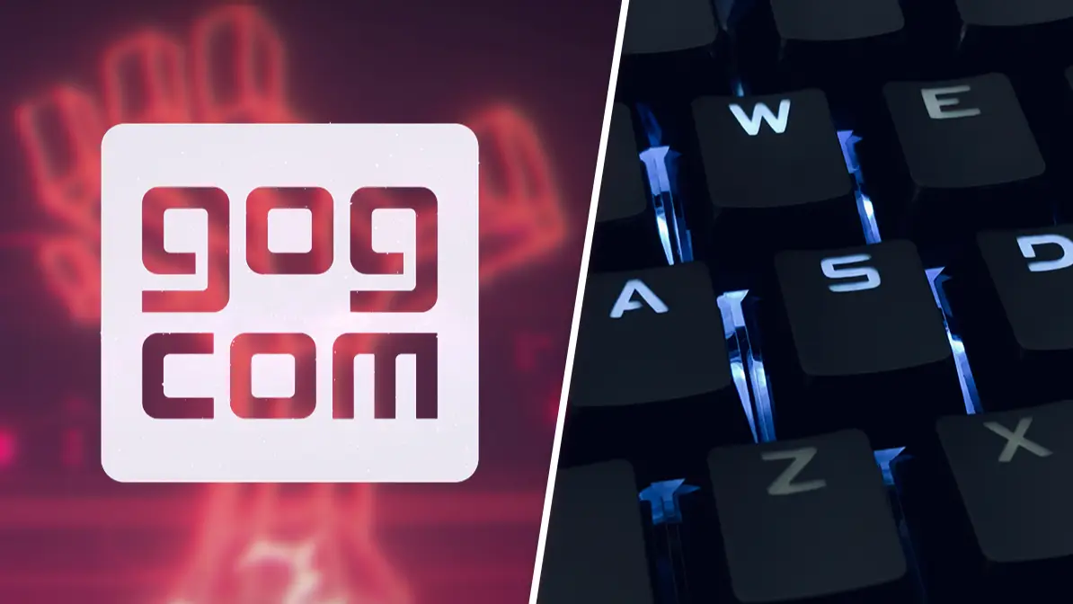 Team 17, GOG, Muha Ajjan via Unsplash