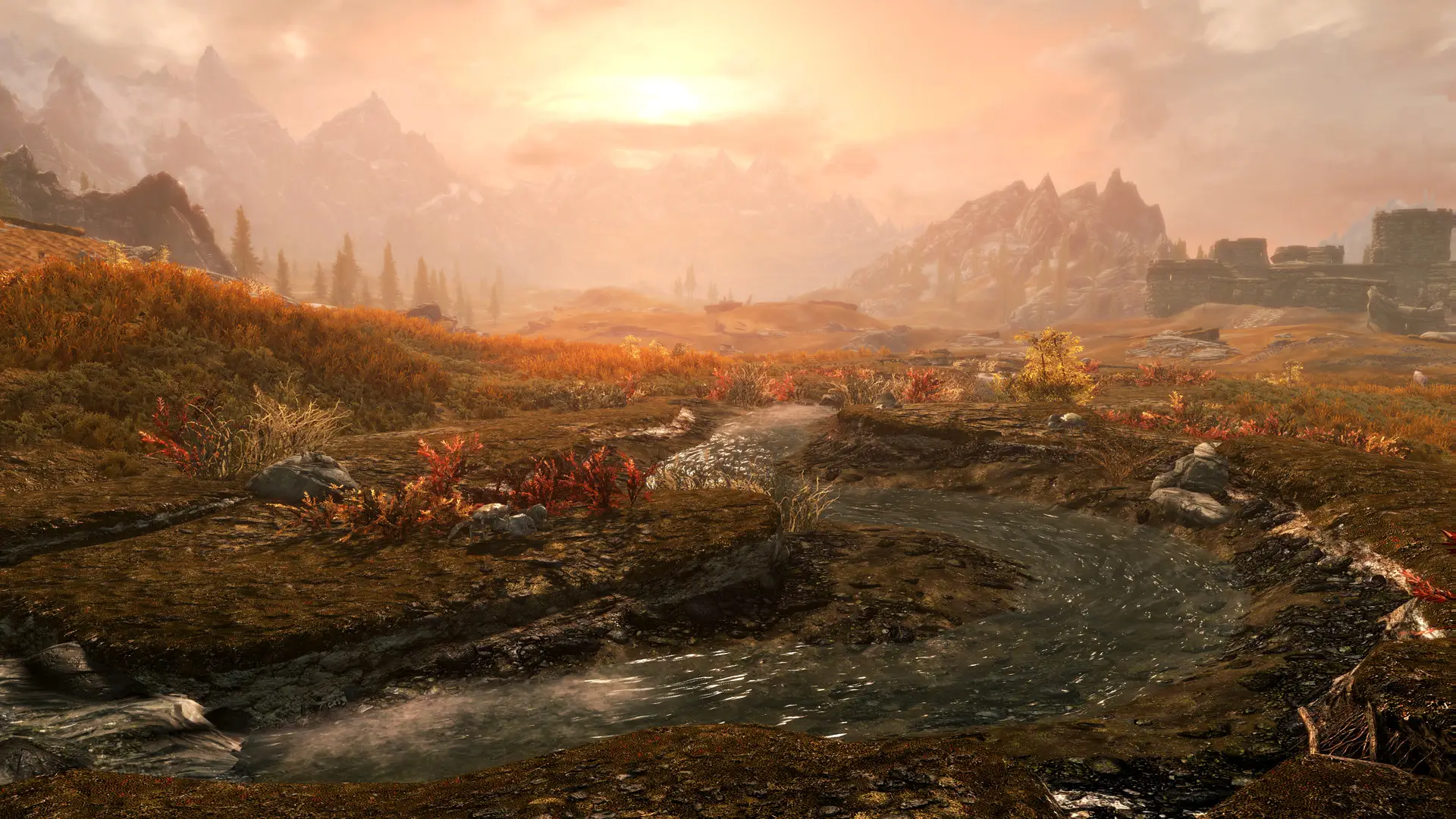 Skyrim
