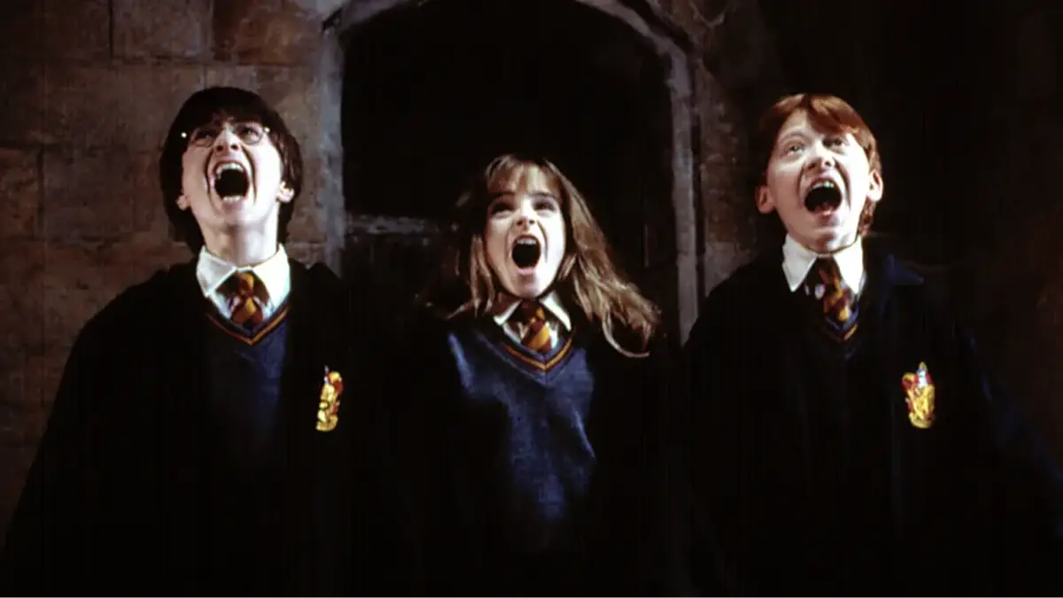 Harry Potter HBO officially casts actor from the original movies