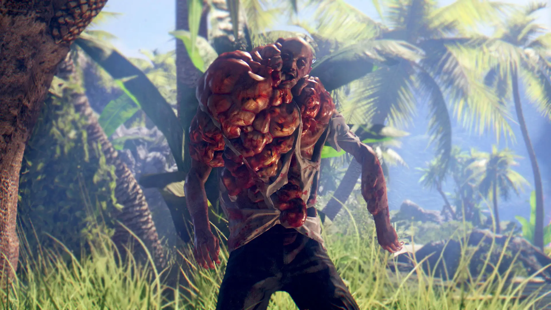Dead Island: Definitive Edition - Deep Silver