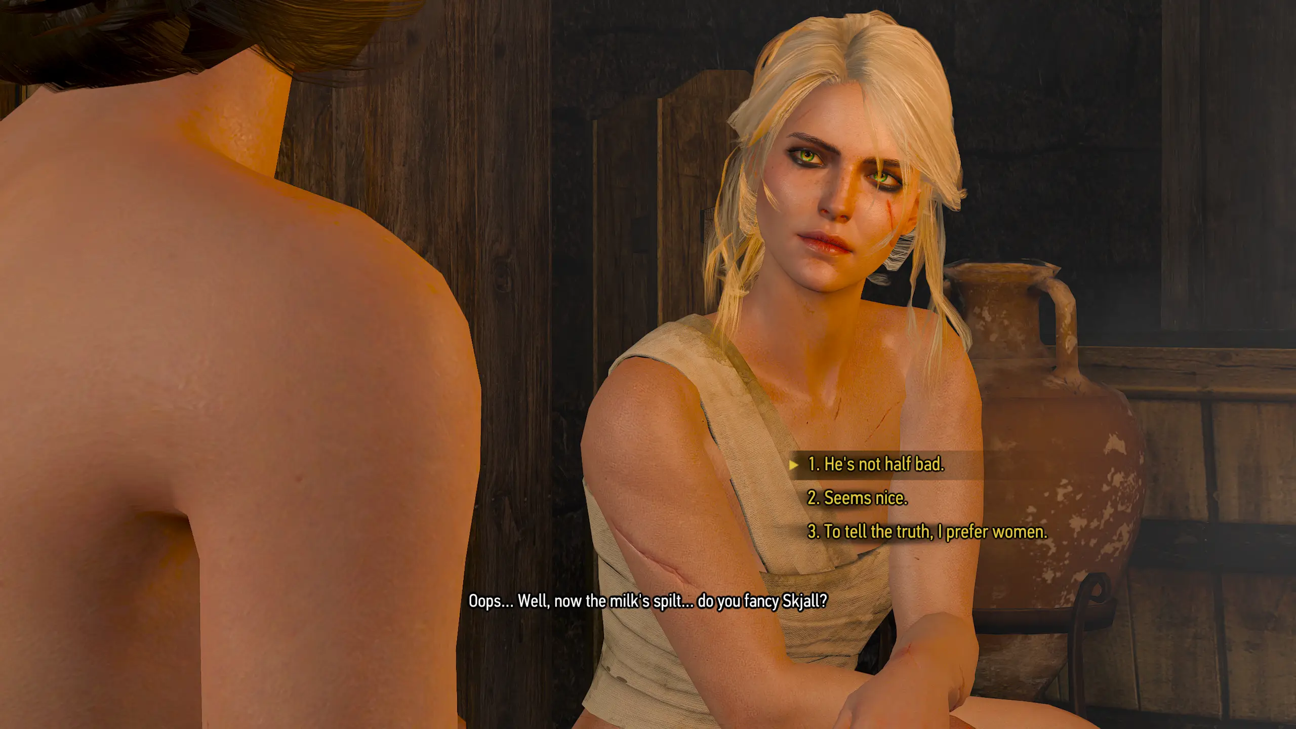 The Witcher 3/