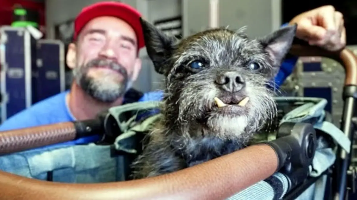 CM Punk and Larry, WWE.com