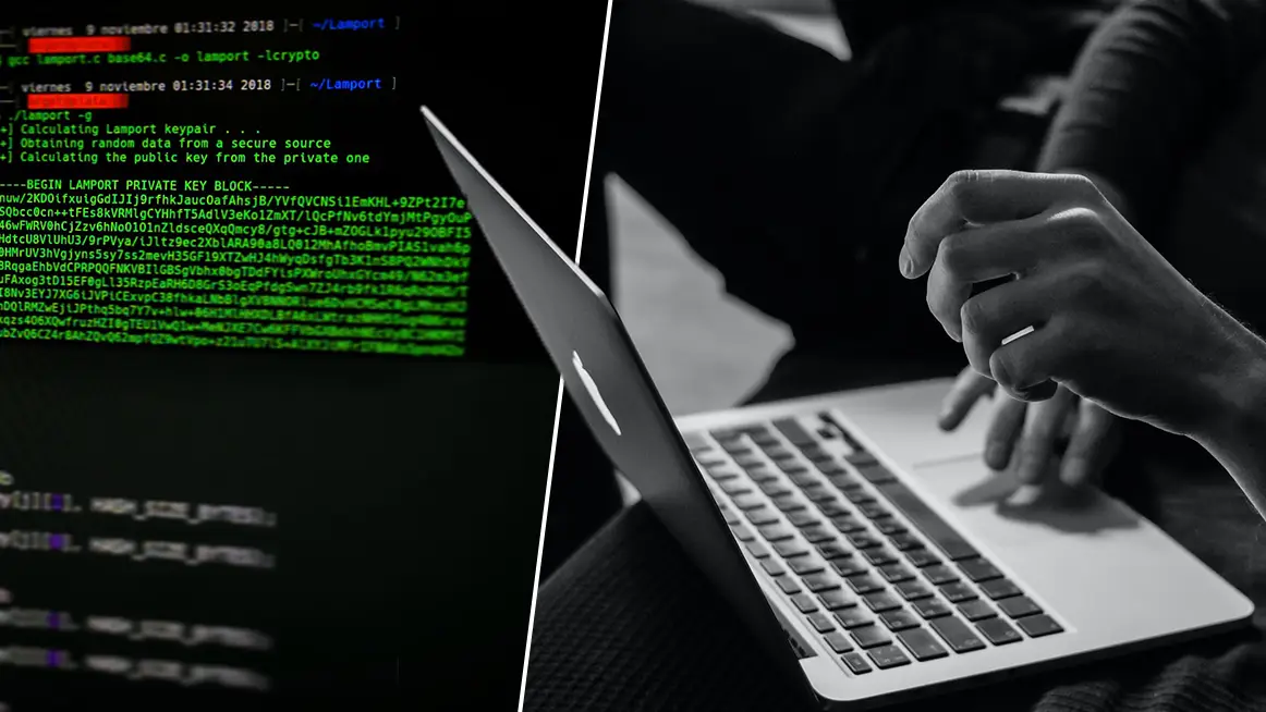 Sergey Zolkin, Arget via UnSplash