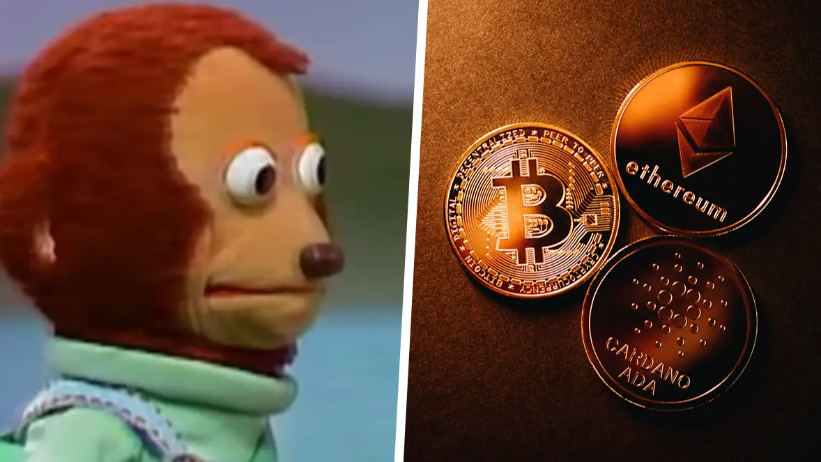 Meme, Jonathan Borba via Pexels