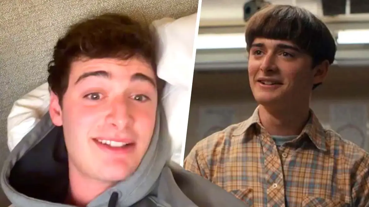 Noah Schnapp via TikTok, Netflix