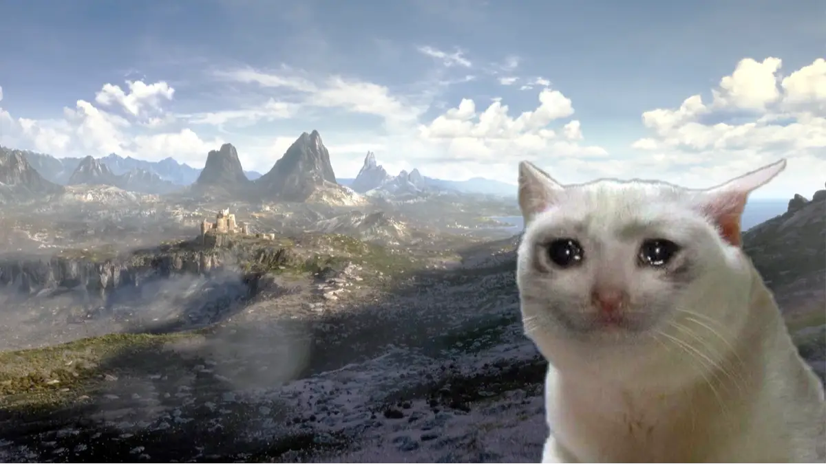 Bethesda Softworks, Meme