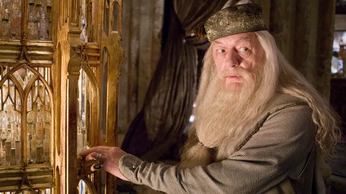 Harry Potter fans lose it as HBO reboot first casting officially confirmed