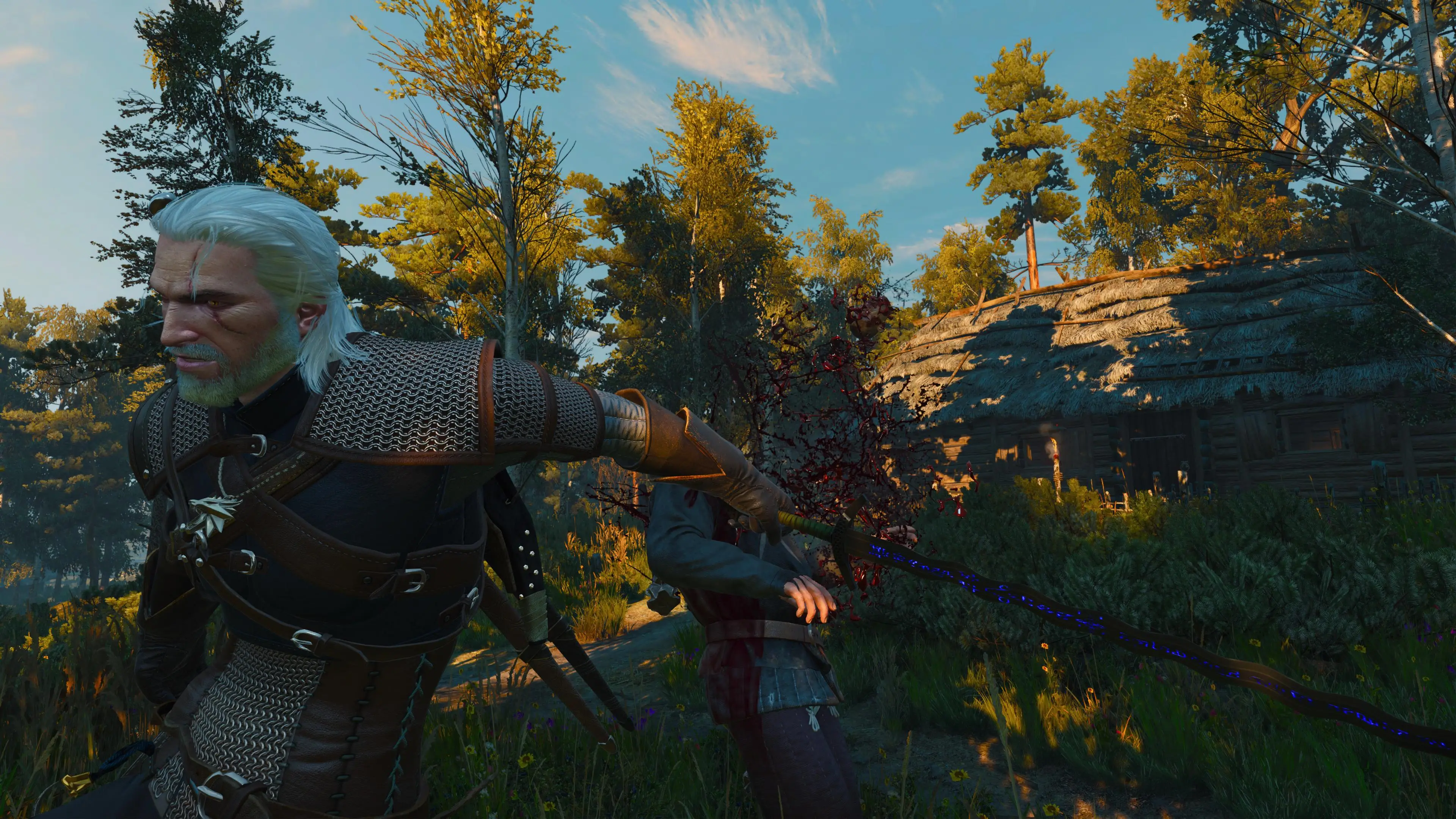 The Witcher 3: Wild Hunt /