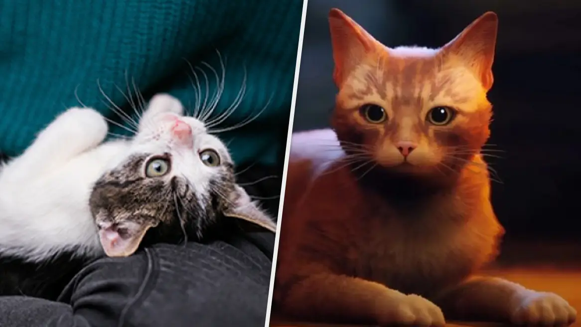 Annapurna Interactive