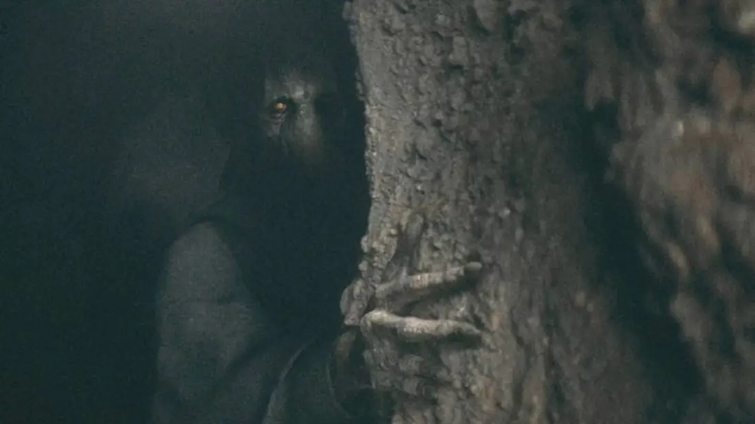 Star Wars fans divided over Darth Plagueis’ real age