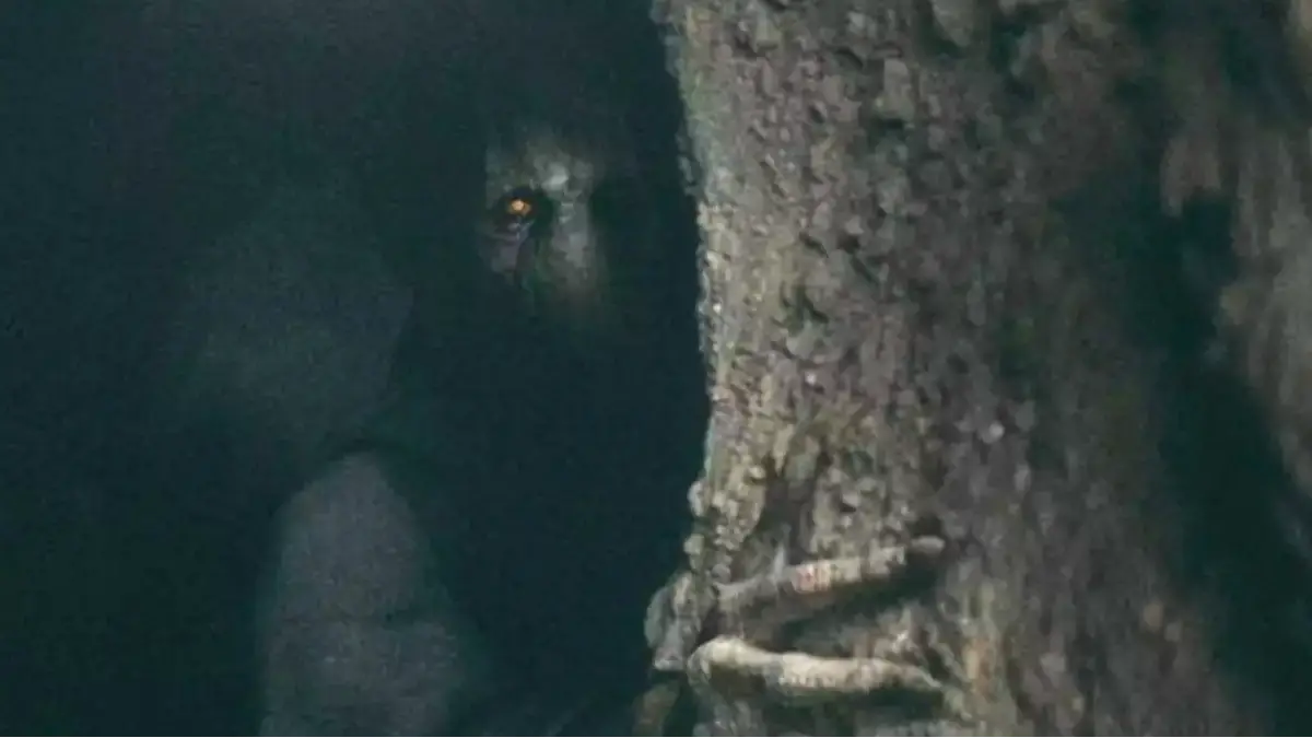 Star Wars fans furious over Darth Plagueis’ twist, and we get it