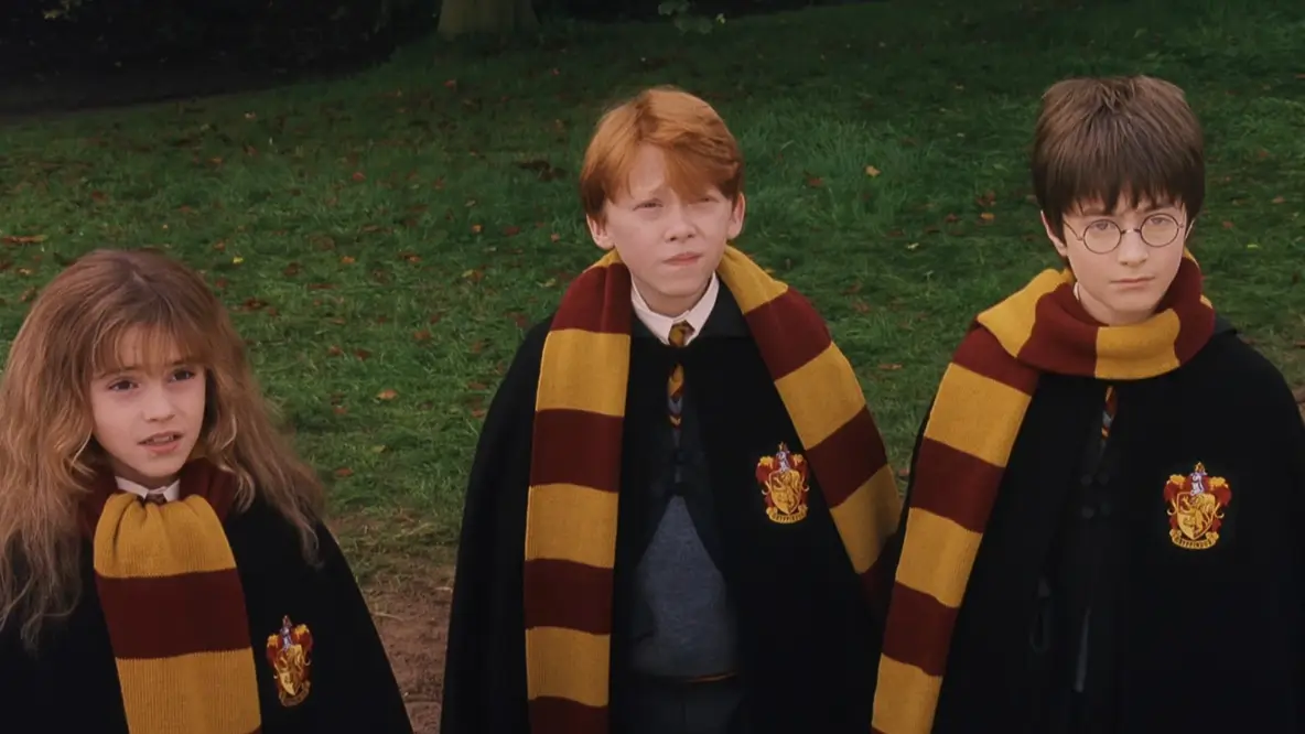 Harry Potter fans unite over Stranger Things star for HBO reboot