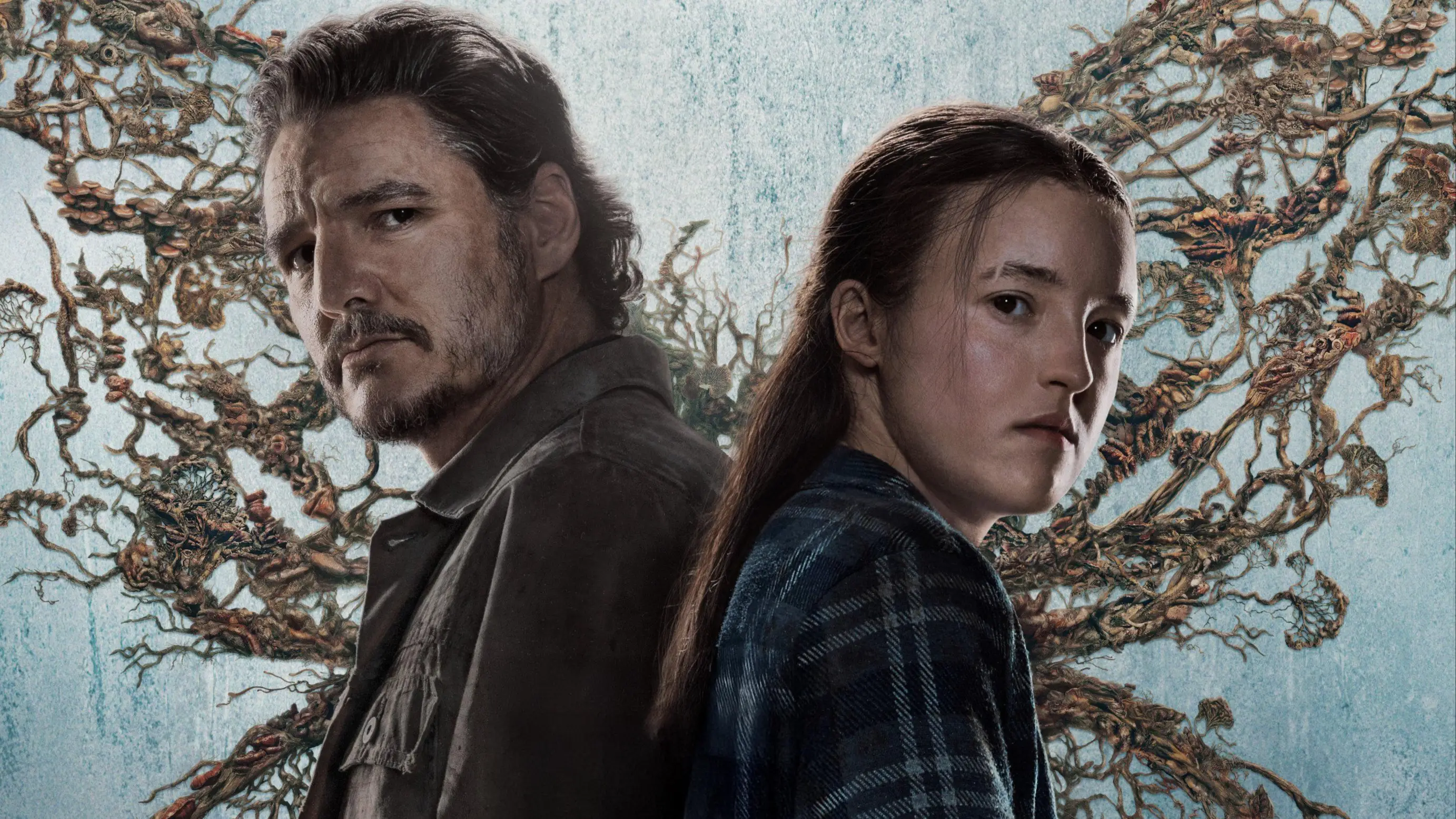 Sony Pictures Television