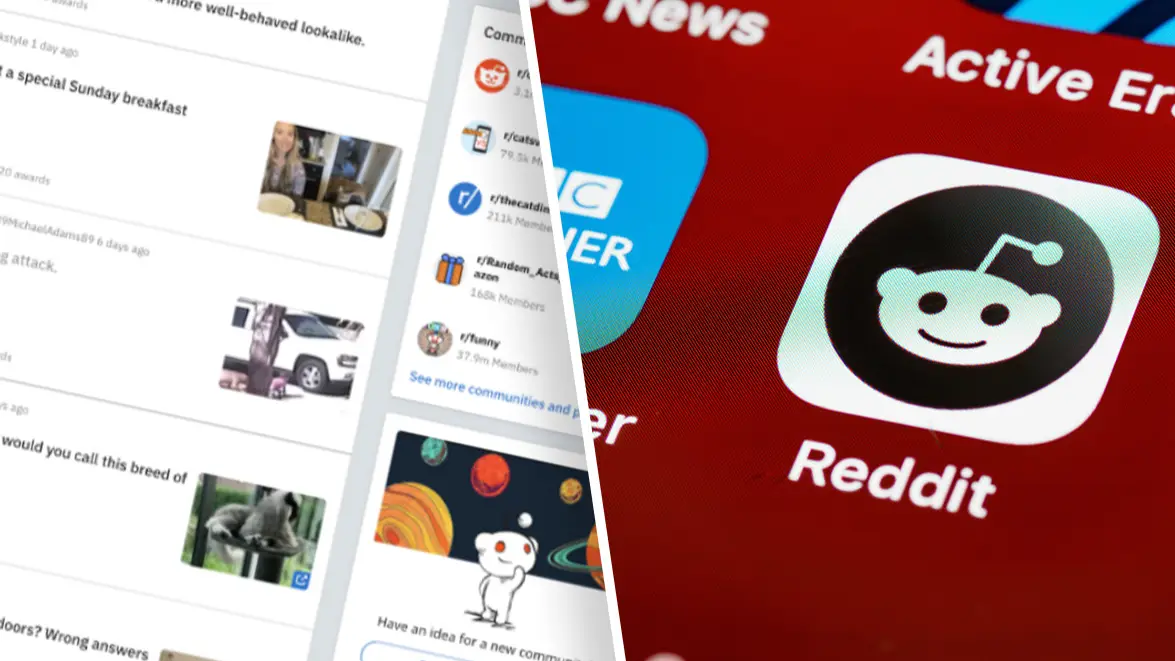 Reddit, Brett Jordan via Pexels