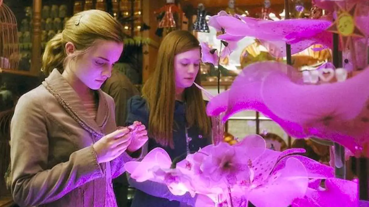 Warner Bros. Pictures