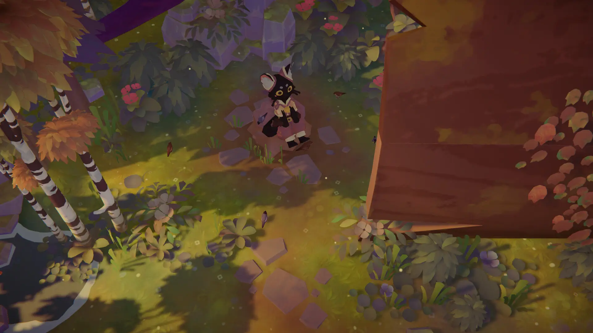 Forage and Brew cat walking through woods