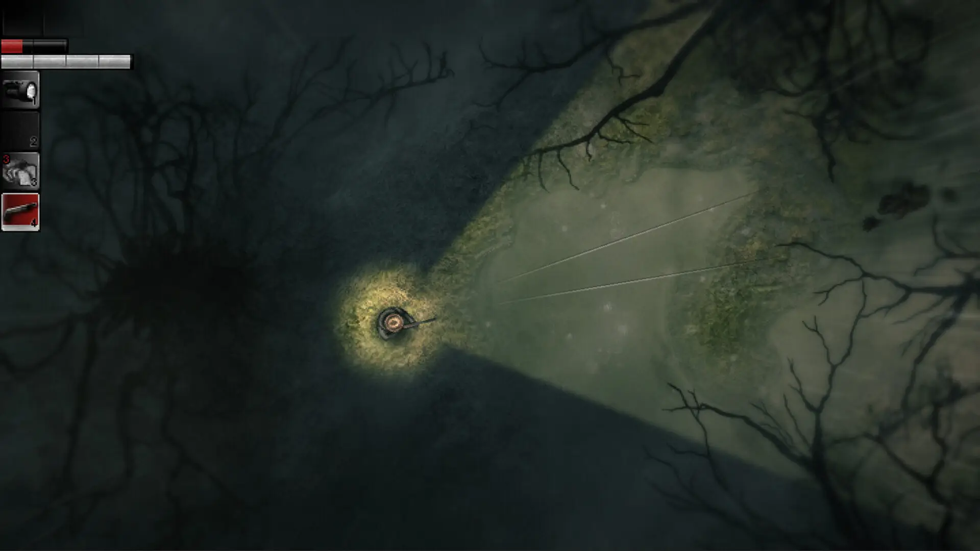 Darkwood,