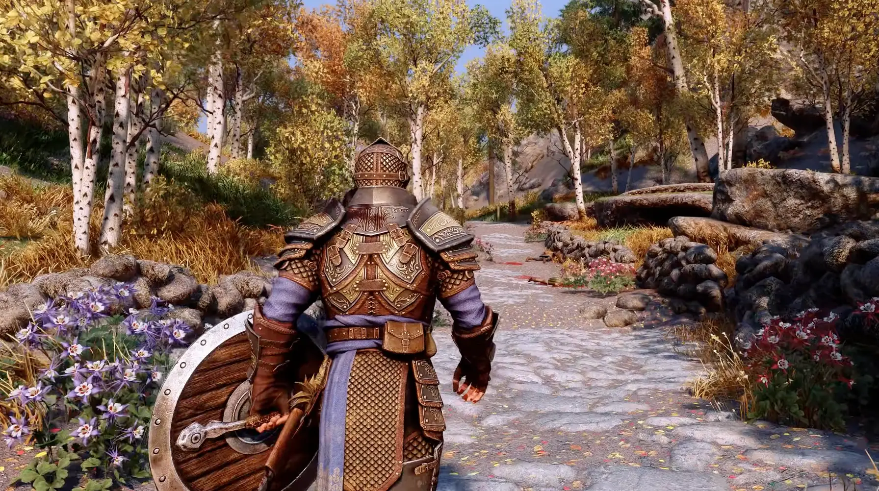 The Elder Scrolls V: Skyrim/