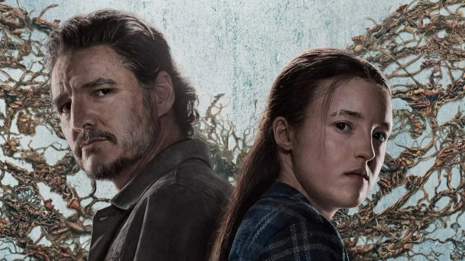 HBO