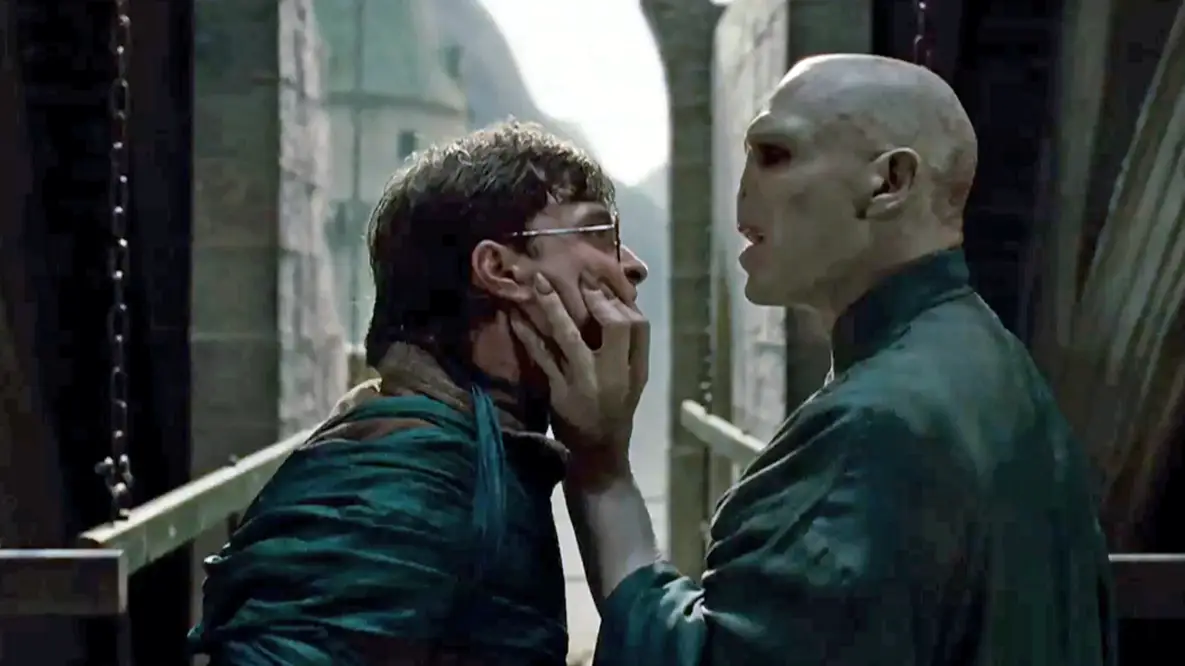 Harry Potter fans just realising 3 major characters never once met