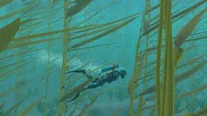 Endless Ocean Luminous-