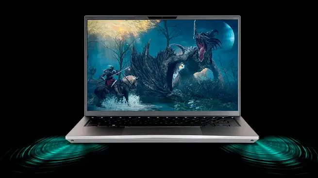 Chillblast Fnatic Flash Laptop /