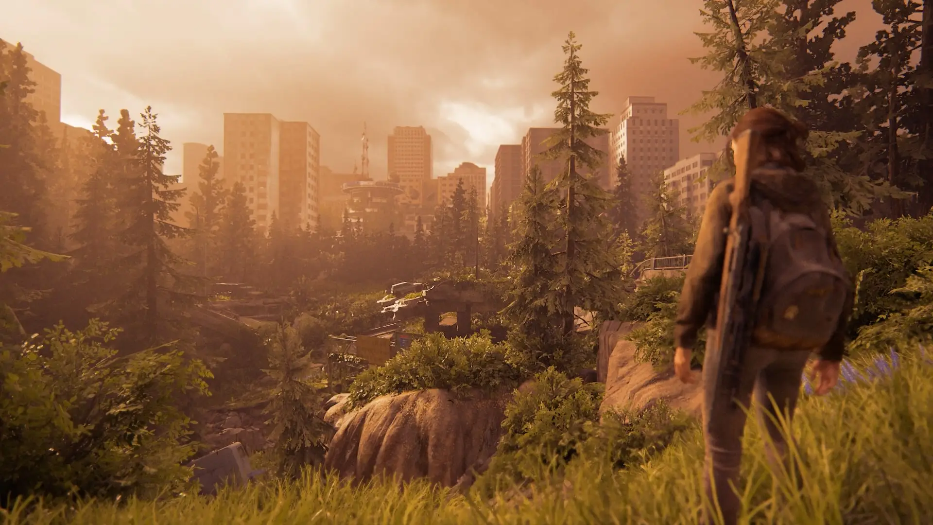 The Last of Us Part II /