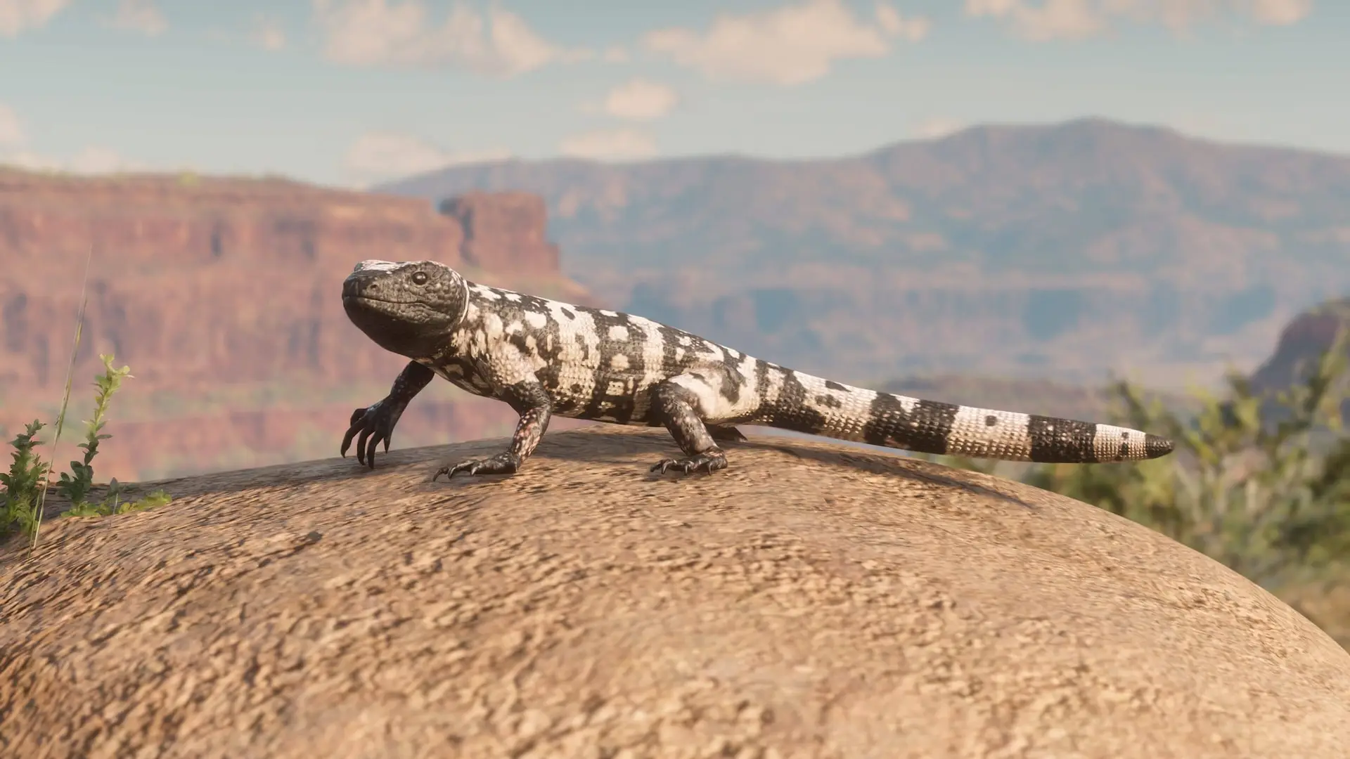 Imagine how this Red Dead Redemption 2 lizard would look in 60 fps