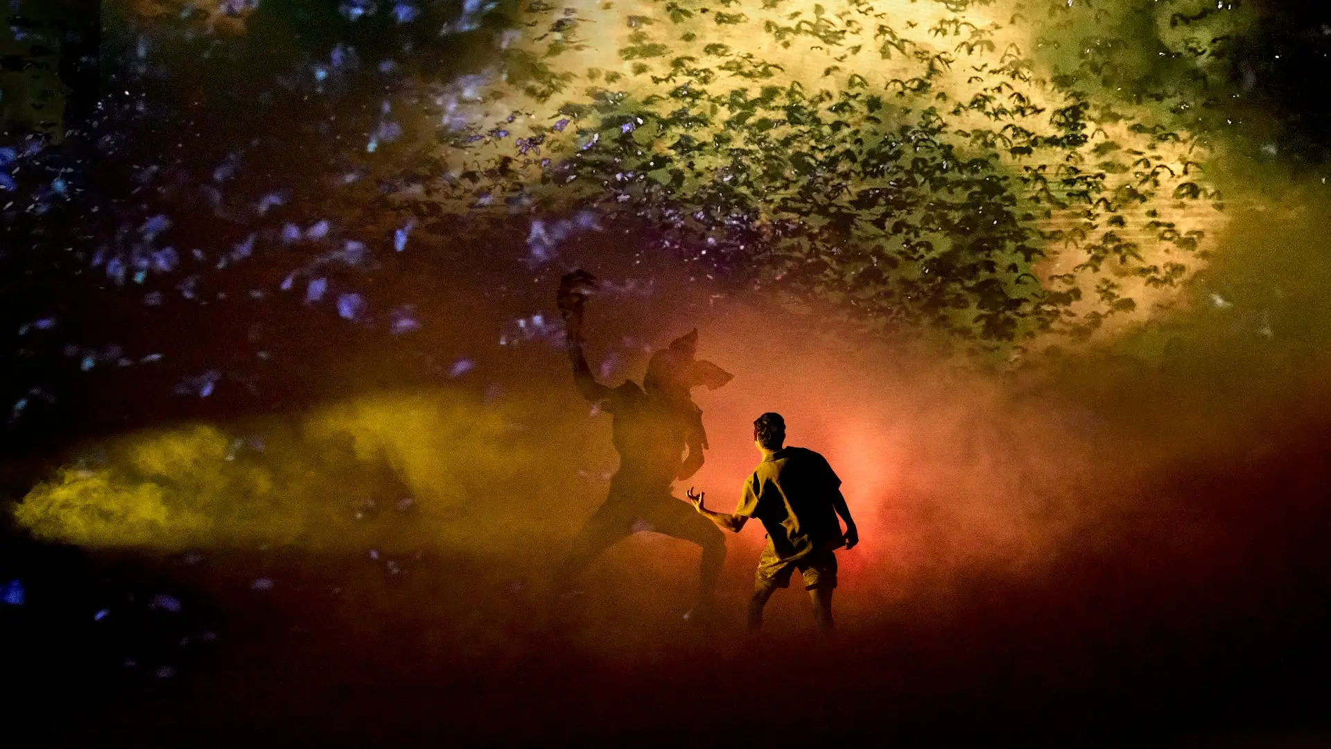 Stranger Things: The First Shadow /