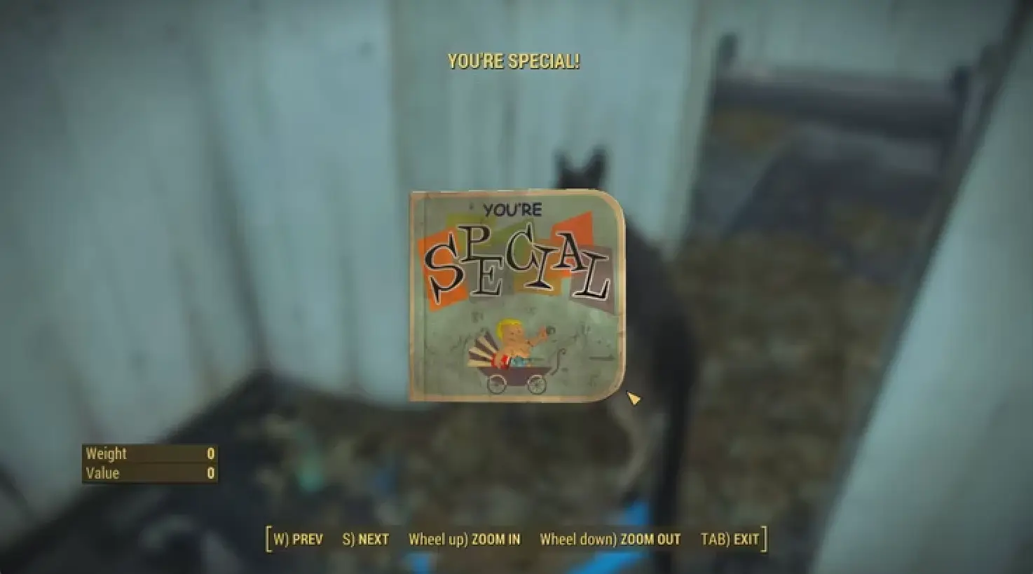 Fallout 4 SPECIAL