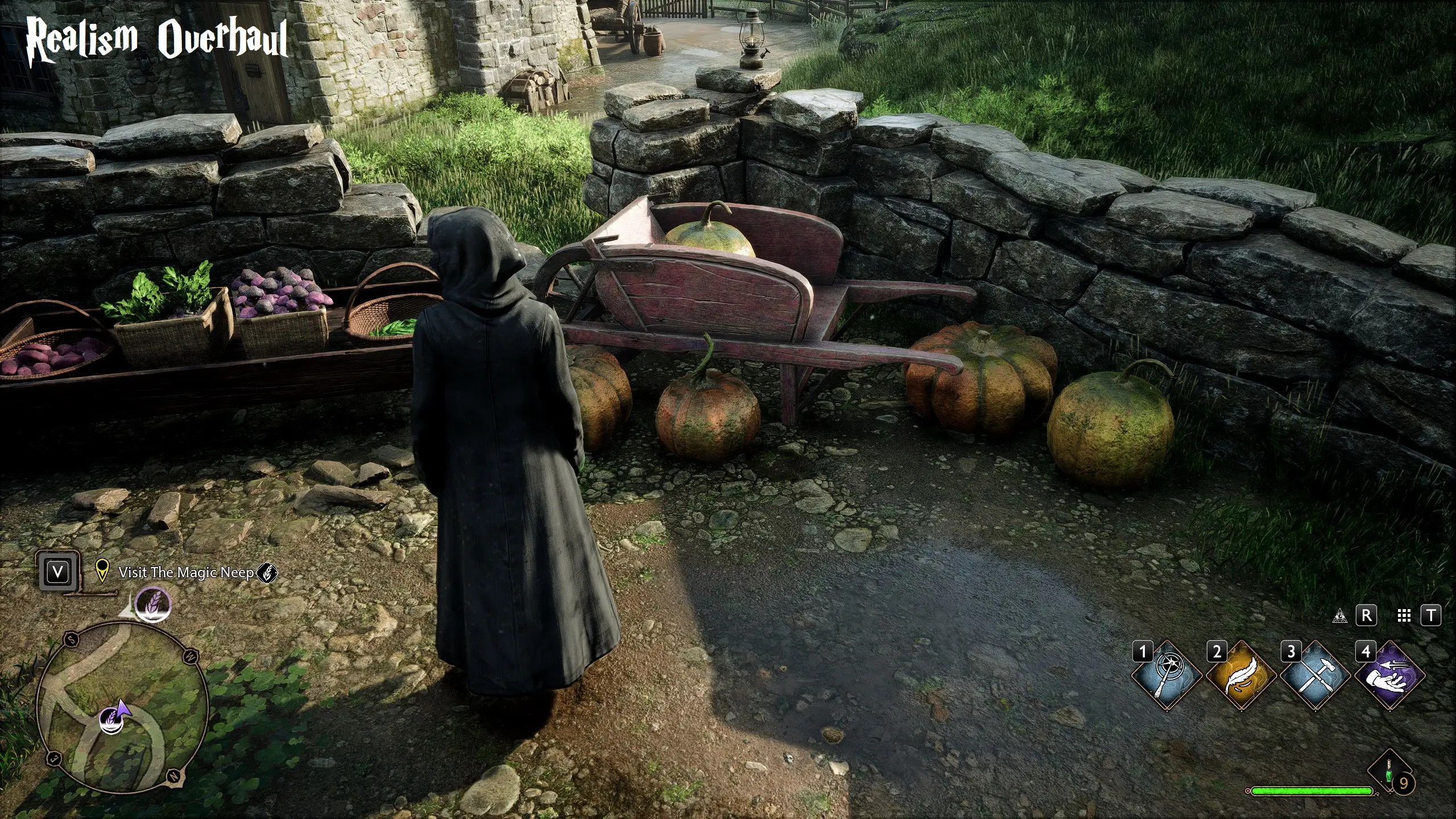 Hogwarts Legacy with the mod /