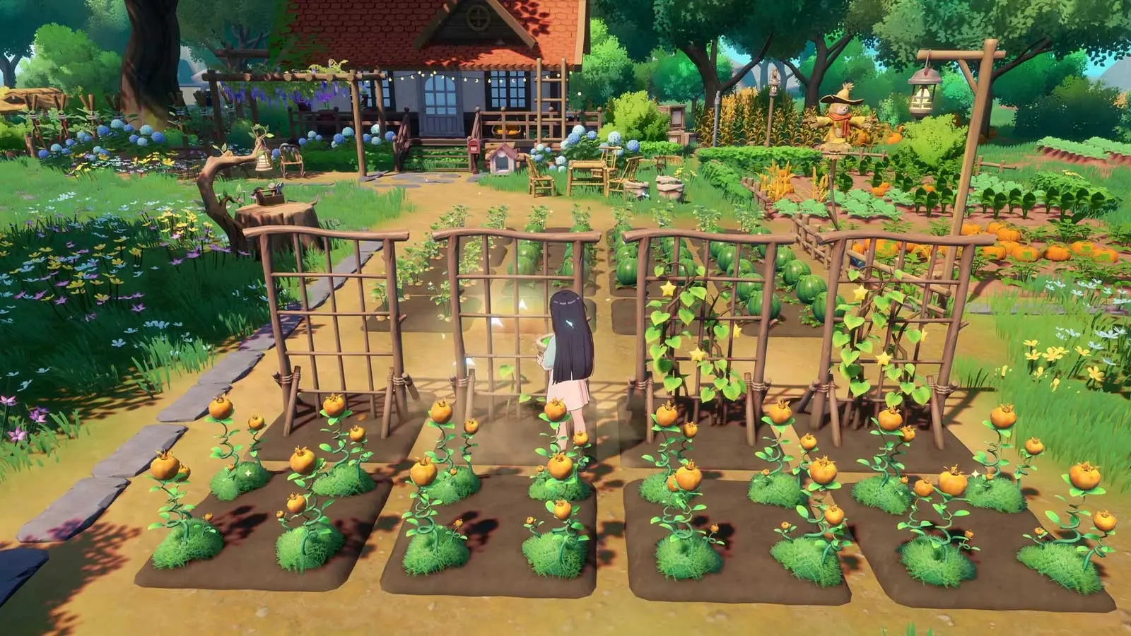 Seed Sparkle Lab