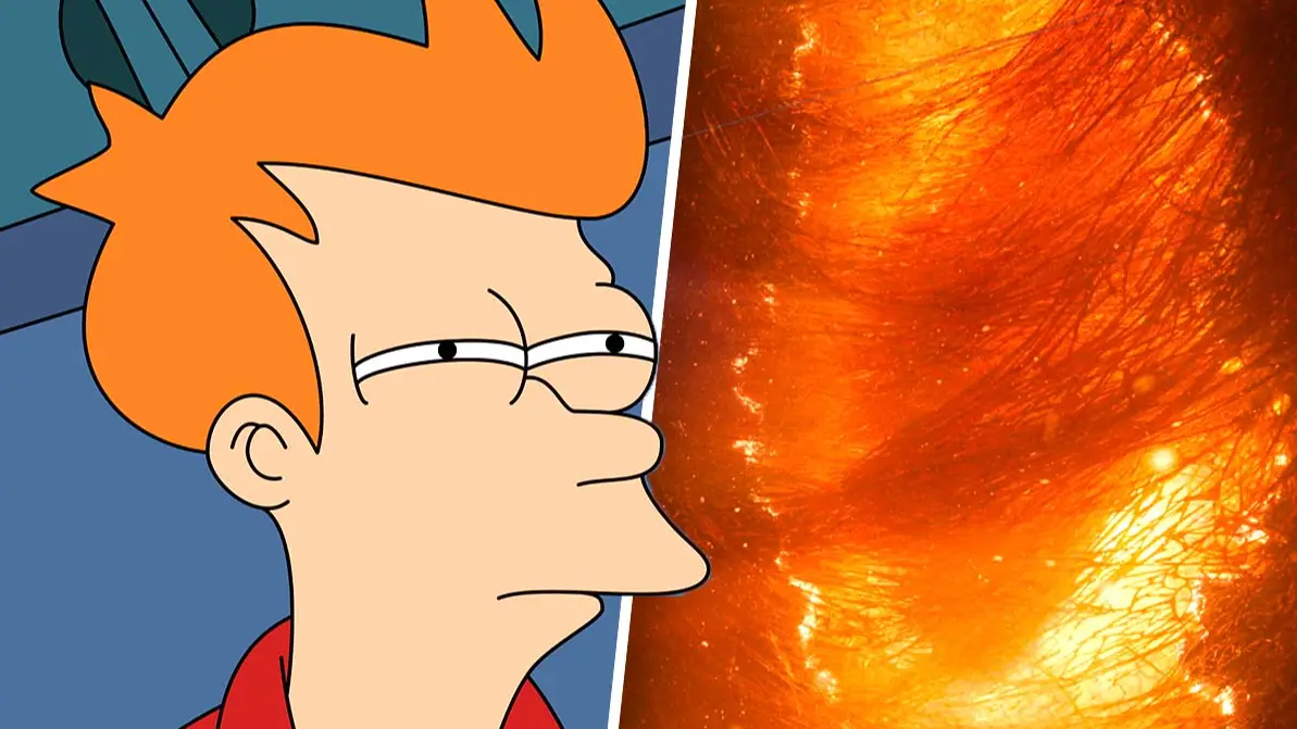 20th Television/Fox/Comedy Central, Netflix