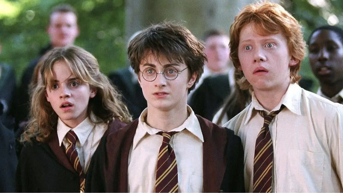 Harry Potter HBO official reveal has left fans incredibly divided