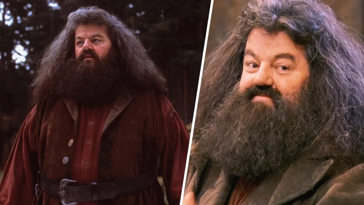 Harry Potter fans united over 'perfect' Hagrid casting for TV series