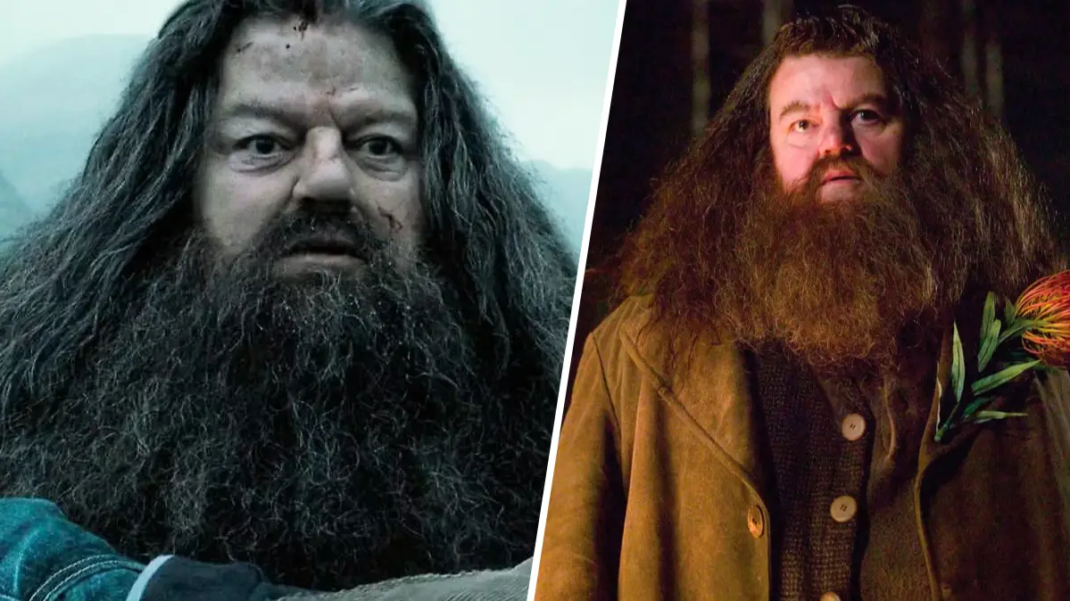 Harry Potter fans torn over Hagrid's fate after Deathly Hallows