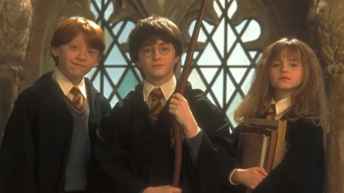 Harry Potter fans discover Harry is related to last character we expected