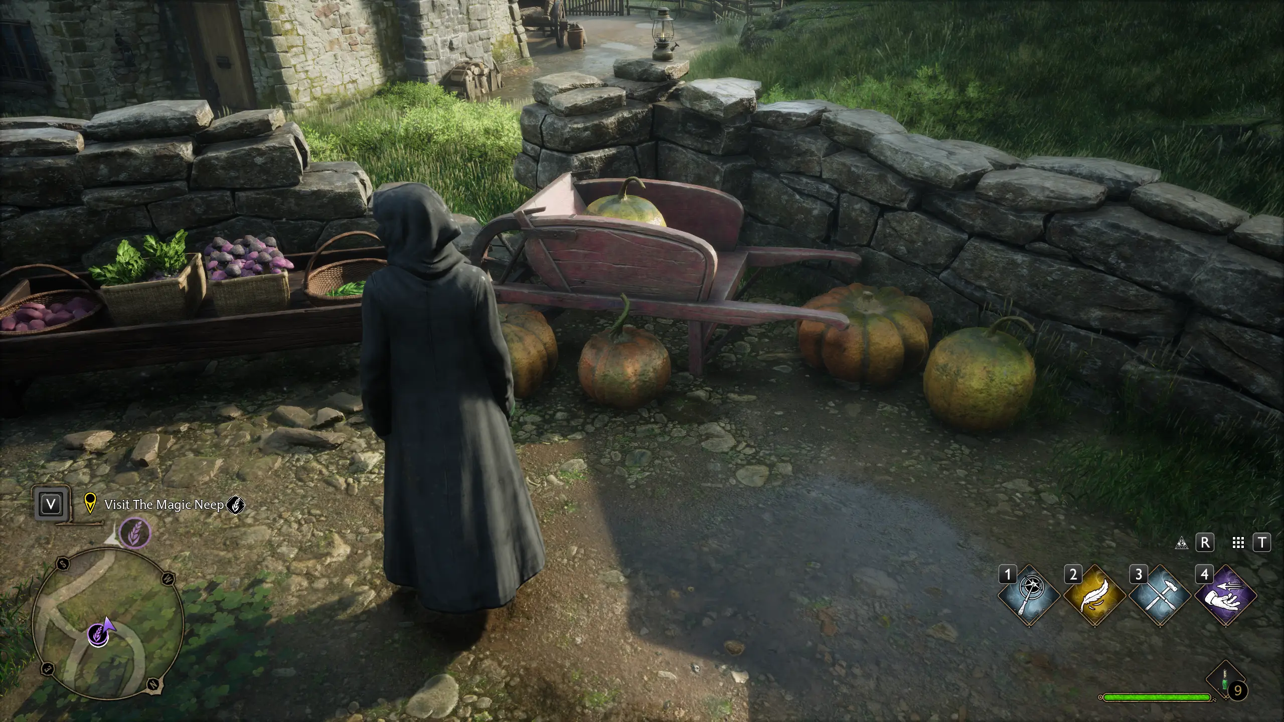 Hogwarts Legacy without the mod /